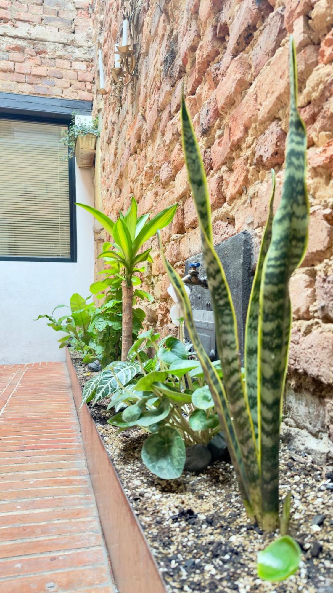 בוגוטה Las Aguas Inn מראה חיצוני תמונה